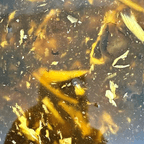 Best Hot & Sour Soup in North Platte, NE